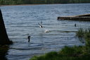 gal/pyrkomania - 1-4.05.08/_thb_small-IMG_2908.JPG